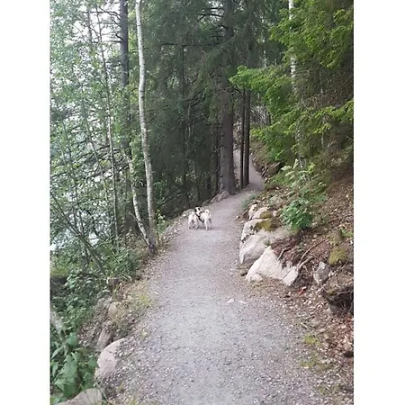 In The Rosbachtal Apartamento Rosbach